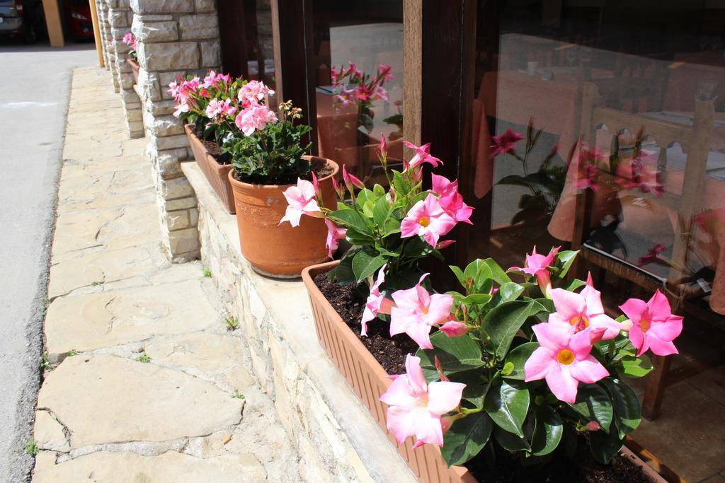 Hostal Montserrat Tona Екстер'єр фото